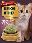 Лакомство для кошек ШАРИК С КОШАЧЬЕЙ МЯТОЙ НА ПОДСТАВКЕ 5х4 Rich Breed ЛК-3