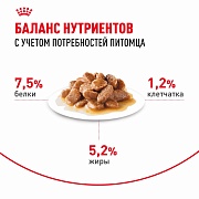 Royal Canin Mini Adult, влажный корм для взрослых собак мелких пород, 85 г