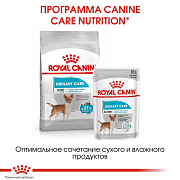 RC Vet Mini Urinary Care, сухой корм для собак с чувствительной мочевыделительной системой, 1 кг
