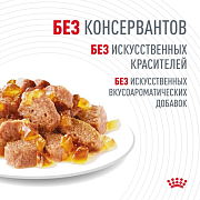 Royal Canin Hair & Skin Care, влажный корм для кошек 1-7 лет, идеальная кожа и шерсть, 85 г