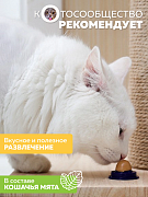 Лакомство для кошек ЛЕДЕНЕЦ НА ЛИПУЧКЕ с кош.мятой 3,8х3,8х2,2 Rich Breed ЛК-1