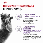 Royal Canin Sterilised, влажный корм для стерилизованных кошек, кусочки в желе, 85 г