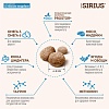 Sirius сухой корм для котят, с мясом индейки 1.5кг