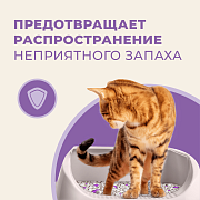 Van Cat, наполнитель комкующийся с ароматом лаванды, без пыли, 5 кг