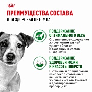 Royal Canin Mini Adult, влажный корм для взрослых собак мелких пород, 85 г