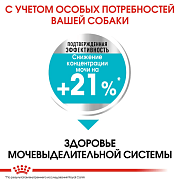 RC Vet Mini Urinary Care, сухой корм для собак с чувствительной мочевыделительной системой, 1 кг