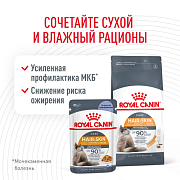 Royal Canin Hair & Skin Care, влажный корм для кошек 1-7 лет, идеальная кожа и шерсть, 85 г