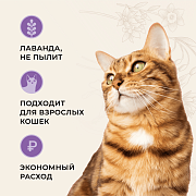 Van Cat, наполнитель комкующийся с ароматом лаванды, без пыли, 5 кг