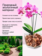 Кора лиственницы 