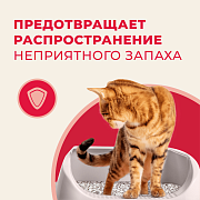 Van Cat, наполнитель комкующийся натуральный, без пыли, 5 кг