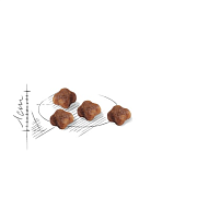 Royal Canin Mother&Babycat, для котят от 1 до 4 мес., беременных и лактирующих кошек, 400 г