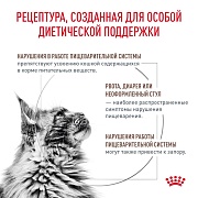 RC Vet Fibre Response, сухой корм для кошек при острых и хронических запорах, 2 кг