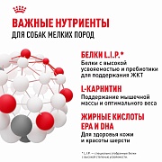 Royal Canin Mini Adult, влажный корм для взрослых собак мелких пород, 85 г