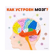 ЭВРИКИ Набор для опытов 
